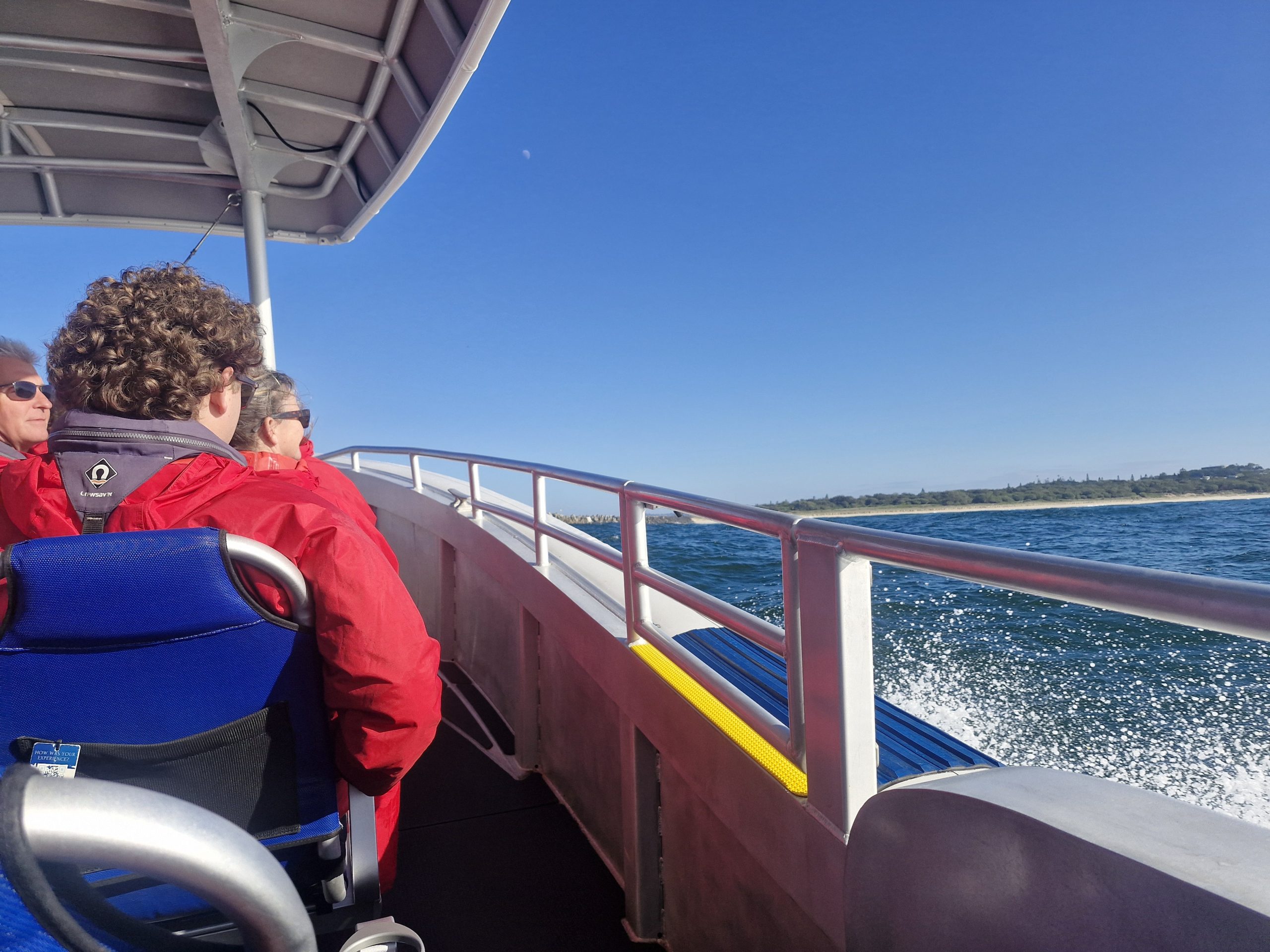 Whale tail flips elegantly off the coast at Ballina NSW