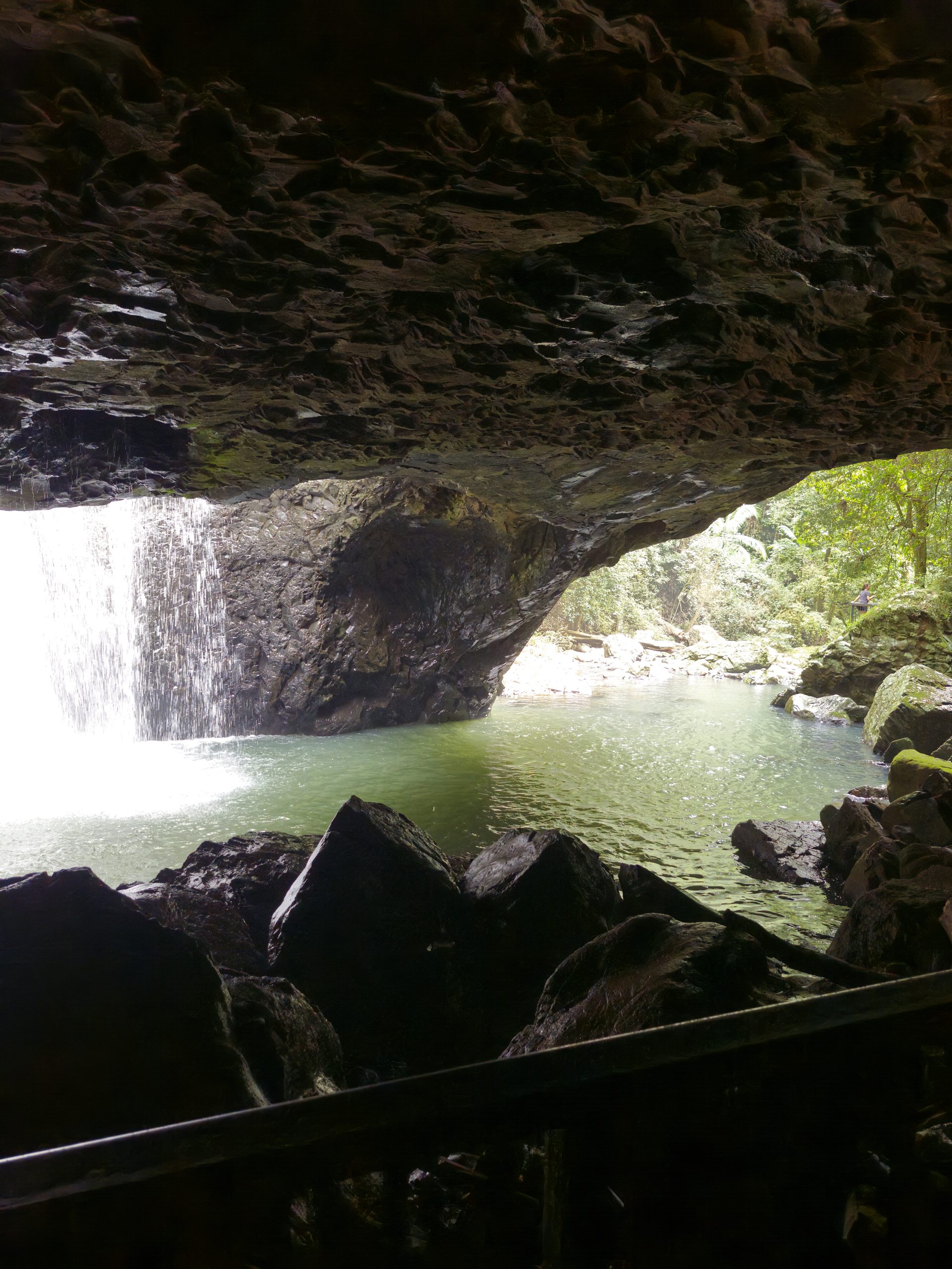Whale tail flips elegantly off the coast at Ballina NSW